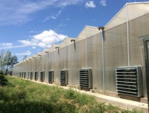 溫室大棚墻體建造過程中注意事項