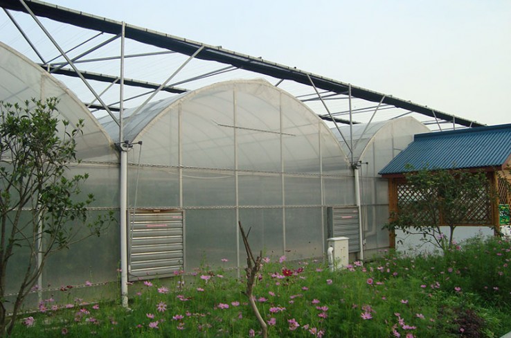 Multi-span greenhouse
